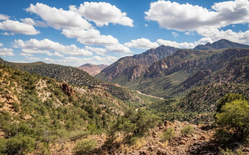 Best Shower Remodeling pros in Vail, AZ